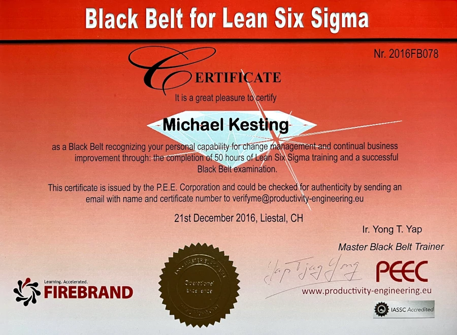Black Belt for Lean Six Sigma - Visomo